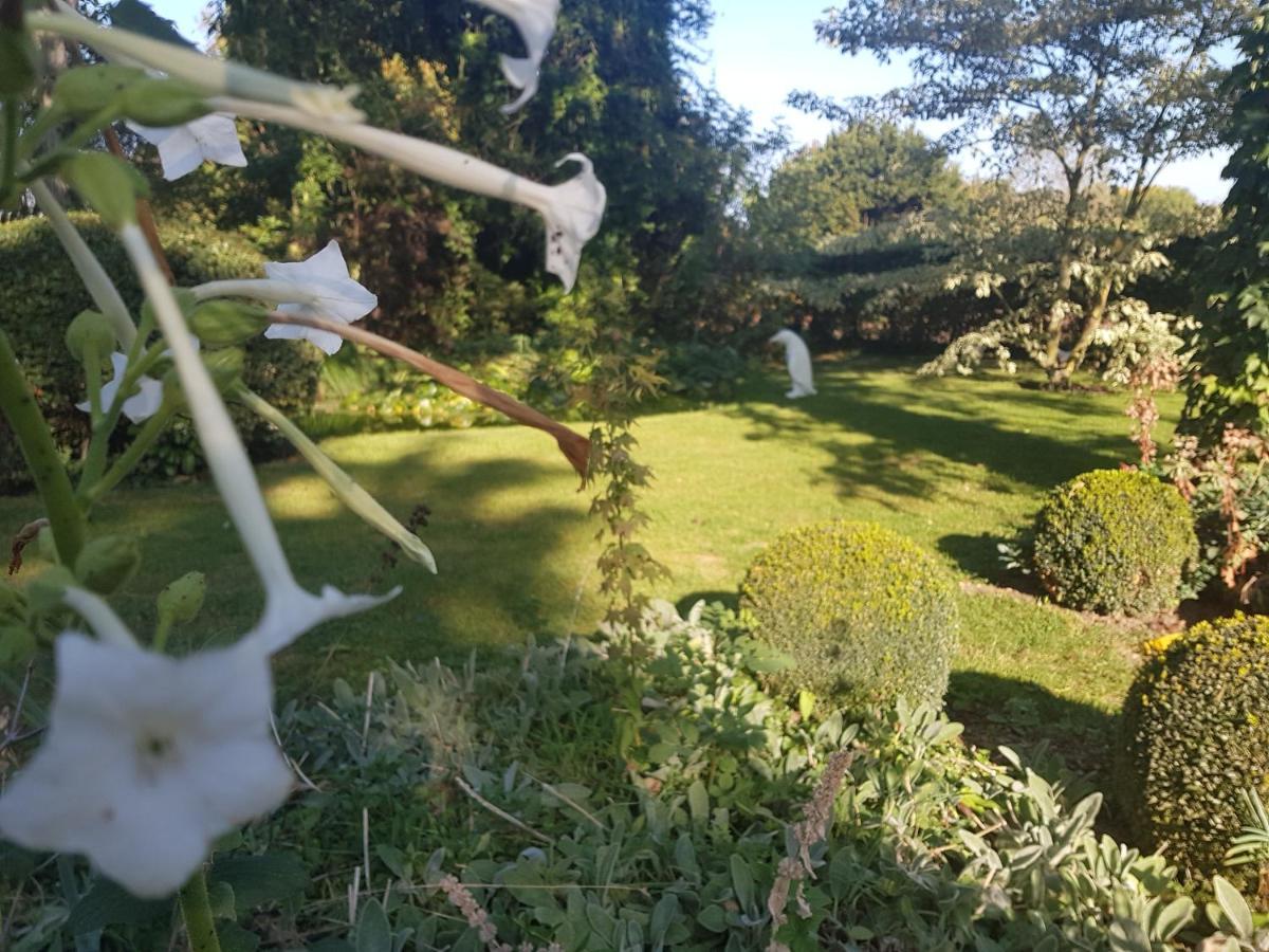Le Clos Falaw Azay-sur-Cher Exterior foto